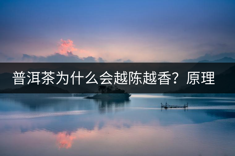 普洱茶為什么會越陳越香？原理是什么？