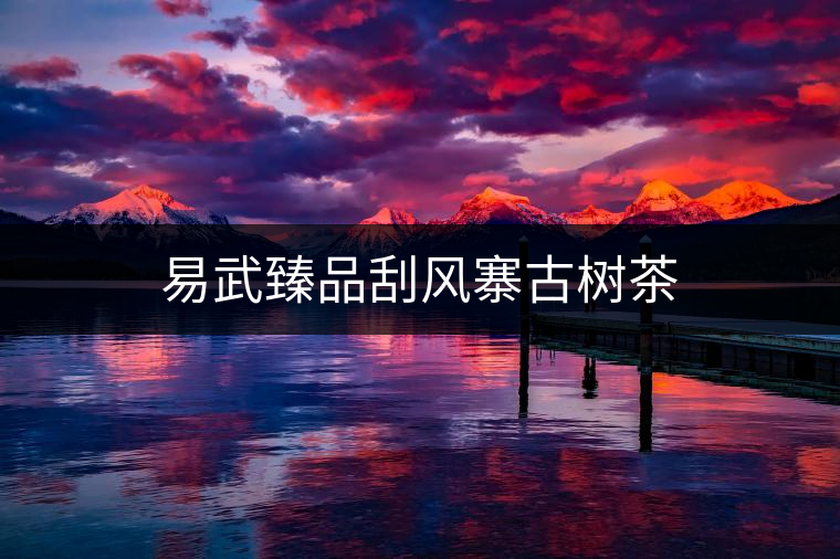 易武臻品刮風(fēng)寨古樹茶 易武臻品刮風(fēng)寨古樹茶