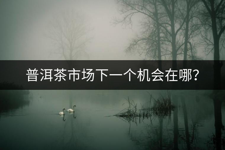 普洱茶市場(chǎng)下一個(gè)機(jī)會(huì)在哪？