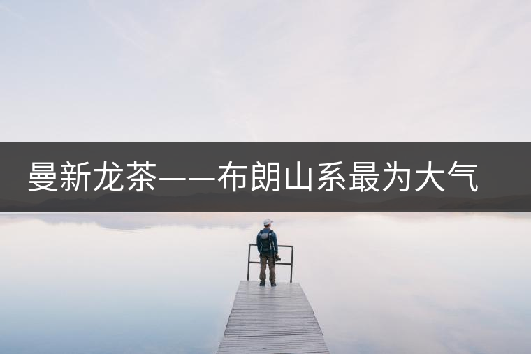 曼新龍茶——布朗山系最為大氣的茶品 曼新龍茶——布朗山系最為大氣的茶品