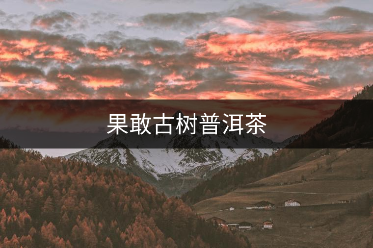 果敢古樹普洱茶 果敢古樹普洱茶