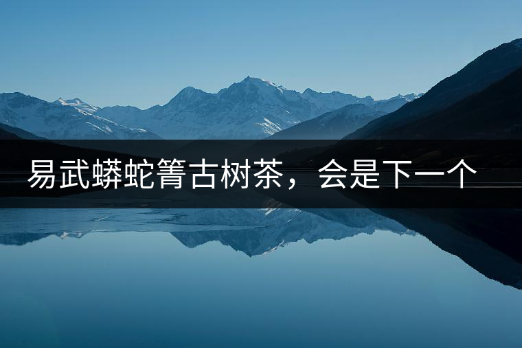 易武蟒蛇箐古樹茶，會(huì)是下一個(gè)銅箐河嗎？