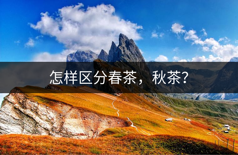 怎樣區(qū)分春茶，秋茶？