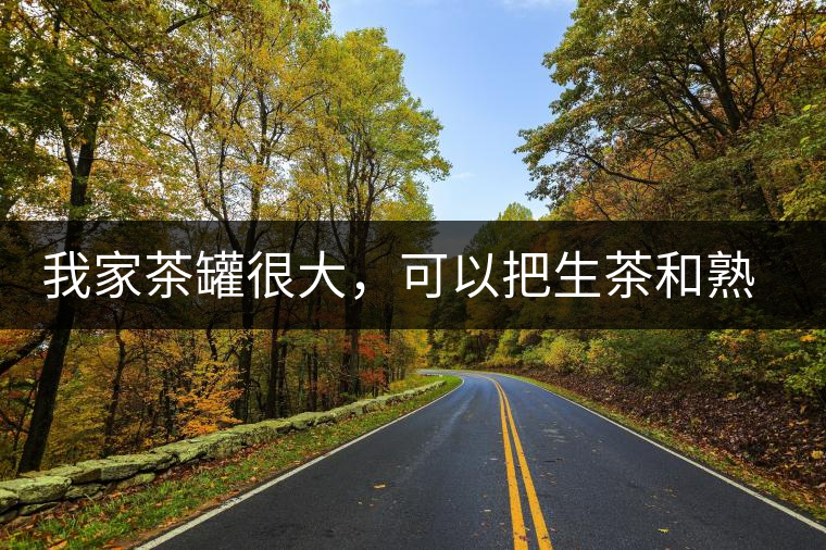 我家茶罐很大，可以把生茶和熟茶，放在一起儲(chǔ)存嗎？