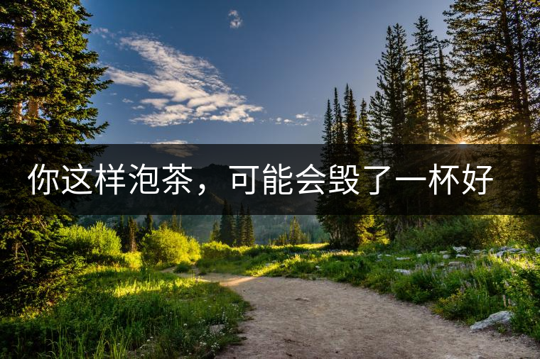 你這樣泡茶，可能會毀了一杯好茶