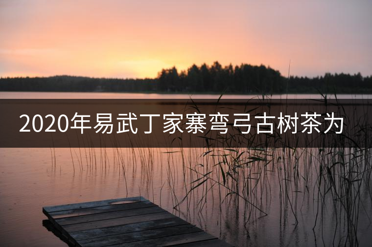 2020年易武丁家寨彎弓古樹茶為什么這么受追捧！