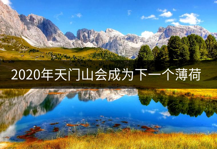 2020年天門山會成為下一個薄荷塘嗎？