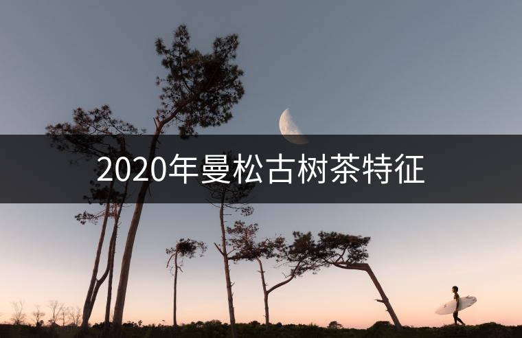 2020年曼松古樹(shù)茶特征 2020年曼松古樹(shù)茶特征