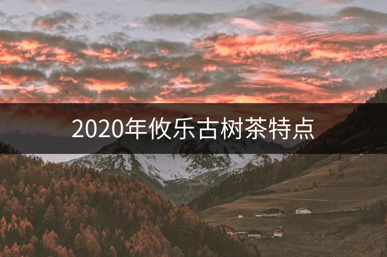 2020年攸樂古樹茶特點 2020年攸樂古樹茶特點
