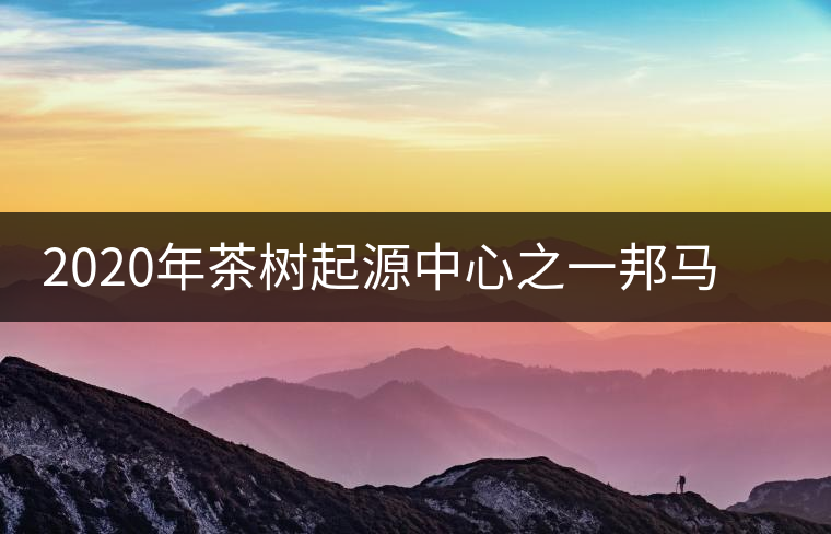 2020年茶樹起源中心之一邦馬大雪山上有哪些神秘的村寨？