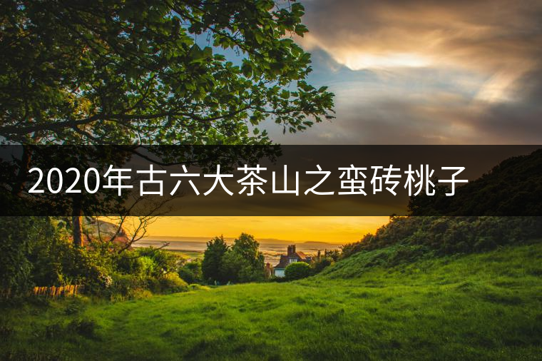 2020年古六大茶山之蠻磚桃子寨古樹茶，瓦龍古樹茶口感與特點