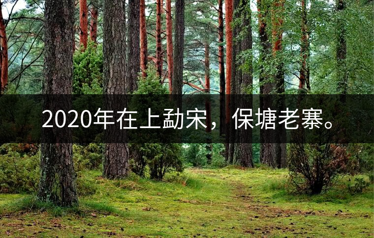 2020年在上勐宋，保塘老寨。