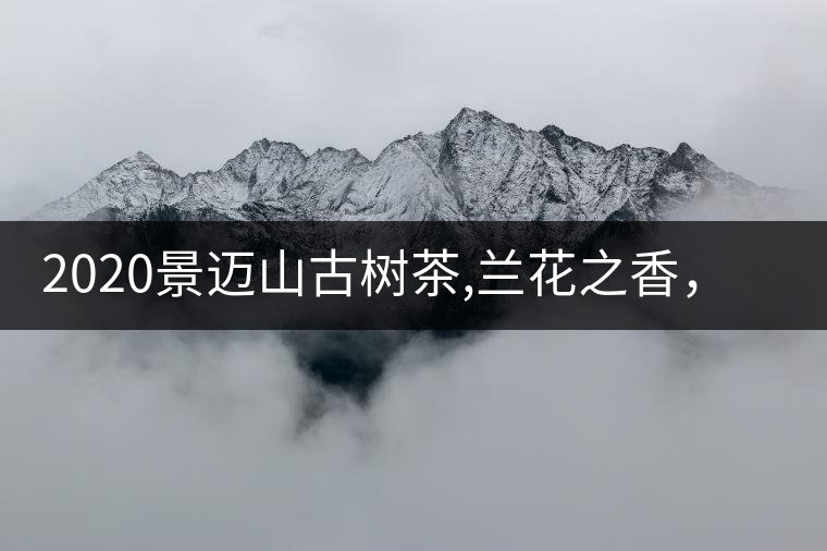 2020景邁山古樹茶,蘭花之香，自然之味
