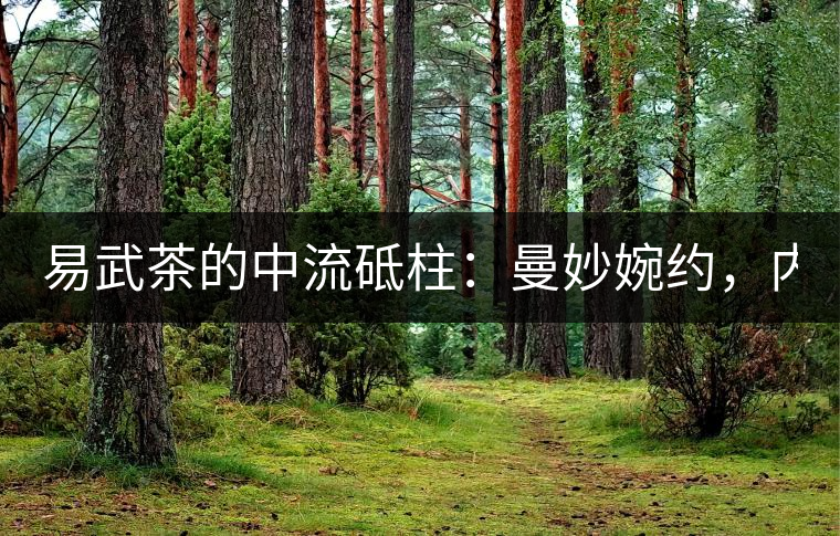 易武茶的中流砥柱：曼妙婉約，內(nèi)秀于心——2020年曼秀古樹春茶特點