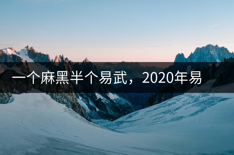 一個(gè)麻黑半個(gè)易武，2020年易武麻黑古樹(shù)春茶介紹