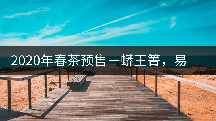 2020年春茶預售－蟒王箐，易武一個蟒蛇出沒的地方