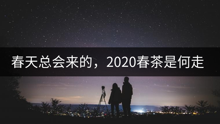 春天總會來的，2020春茶是何走勢？