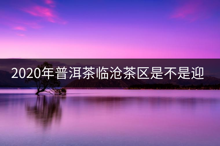 2020年普洱茶臨滄茶區(qū)是不是迎來最好機遇？