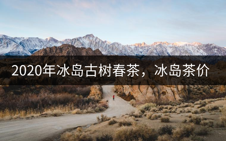 2020年冰島古樹春茶，冰島茶價格貴在哪里？