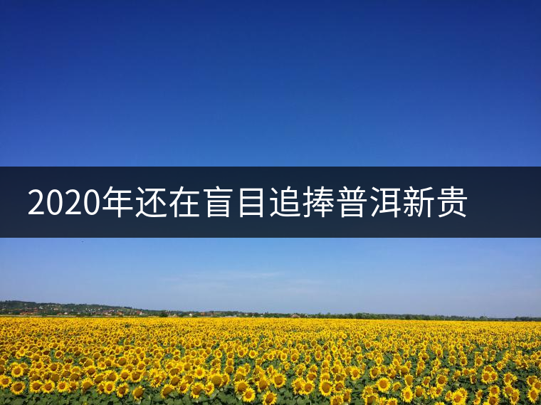 2020年還在盲目追捧普洱新貴“貓耳朵”？我們深入產(chǎn)區(qū)為你揭示最真實(shí)的“貓耳朵”！