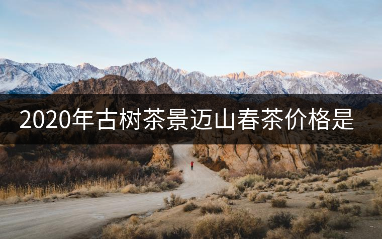 2020年古樹茶景邁山春茶價格是多少？