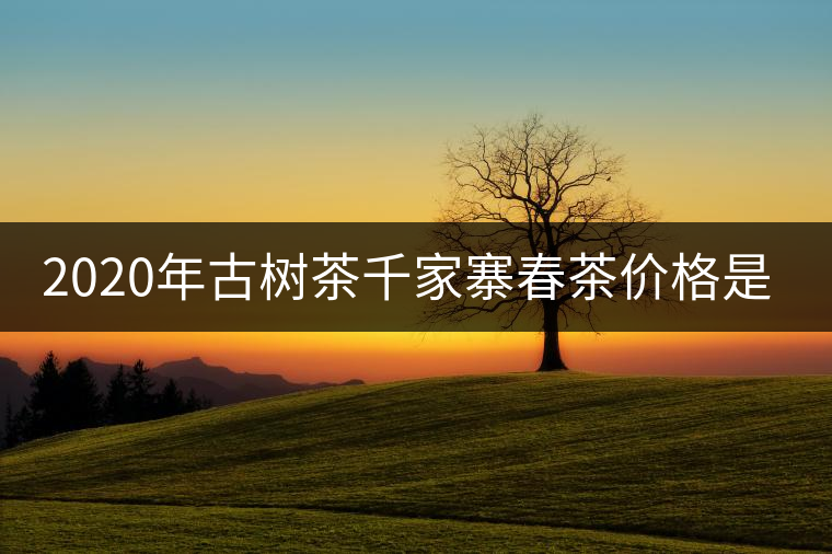 2020年古樹(shù)茶千家寨春茶價(jià)格是多少？