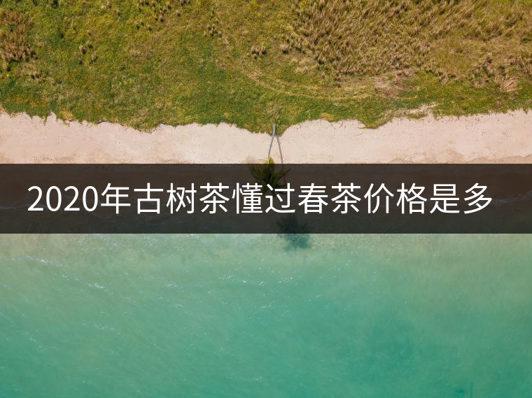 2020年古樹茶懂過春茶價格是多少？