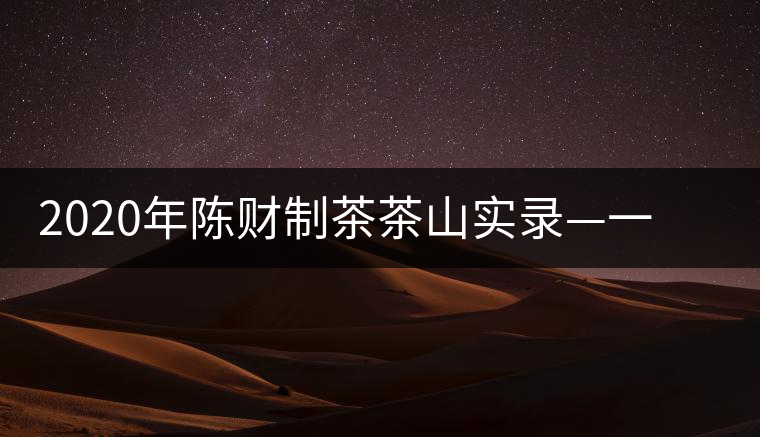 2020年陳財制茶茶山實錄—一手提7山，感受小產(chǎn)區(qū)的奧秘