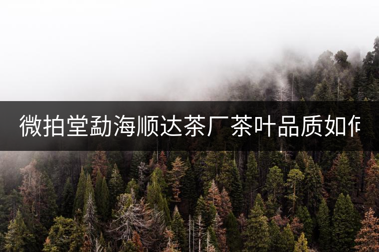 微拍堂勐海順達(dá)茶廠茶葉品質(zhì)如何？