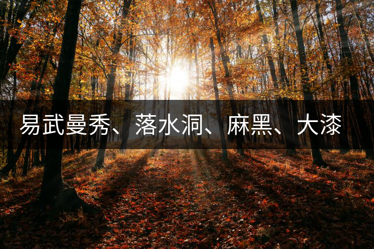易武曼秀、落水洞、麻黑、大漆樹等你更喜歡哪個(gè)茶？