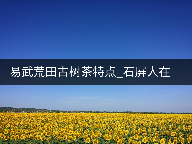 易武荒田古樹茶特點(diǎn)_石屏人在荒田以茶為生 易武荒田古樹茶特點(diǎn)_石屏人在荒田以茶為生