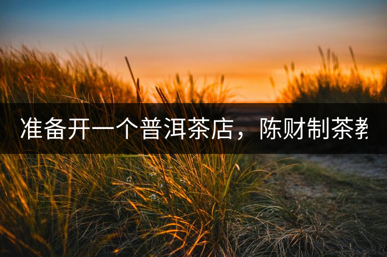 準備開一個普洱茶店，陳財制茶教你怎么做！