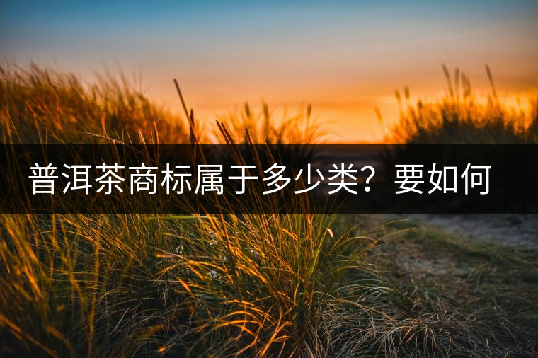 普洱茶商標(biāo)屬于多少類？要如何注冊(cè)