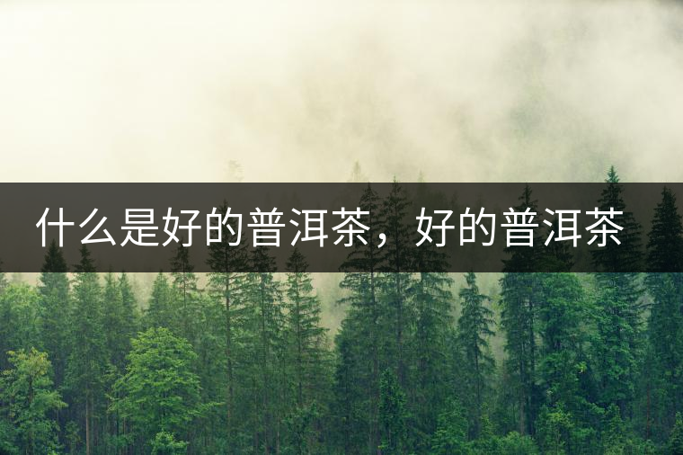 什么是好的普洱茶，好的普洱茶必須要有好的工藝！
