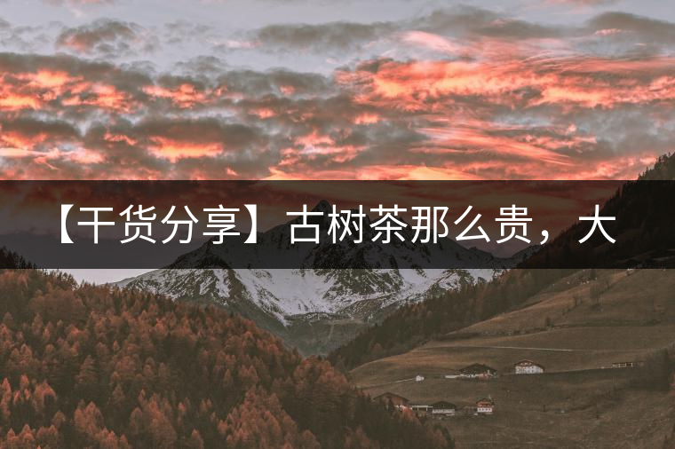 【干貨分享】古樹(shù)茶那么貴，大家為什么還在瘋狂追求？