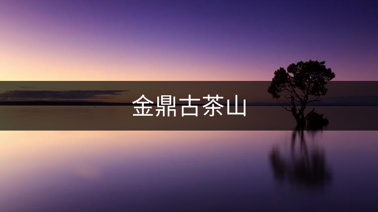 金鼎古茶山 金鼎古茶山