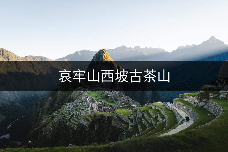 哀牢山西坡古茶山