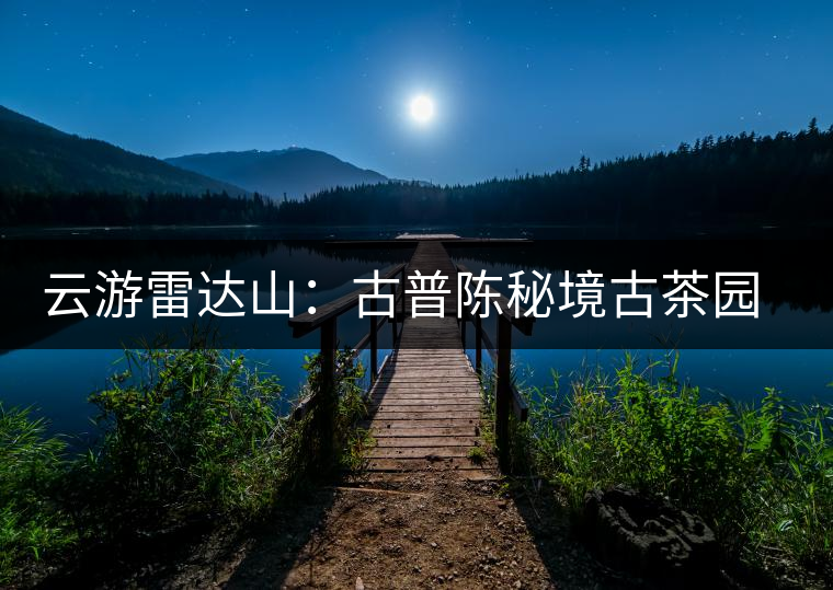 云游雷達(dá)山：古普陳秘境古茶園，品第一杯春鮮