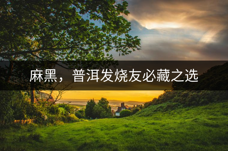 麻黑，普洱發(fā)燒友必藏之選