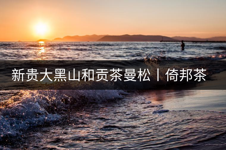 新貴大黑山和貢茶曼松丨倚邦茶山行記
