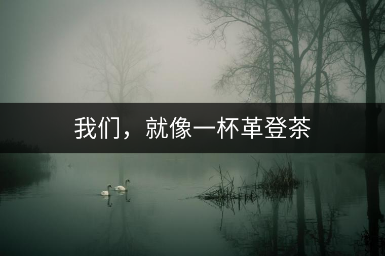 我們，就像一杯革登茶