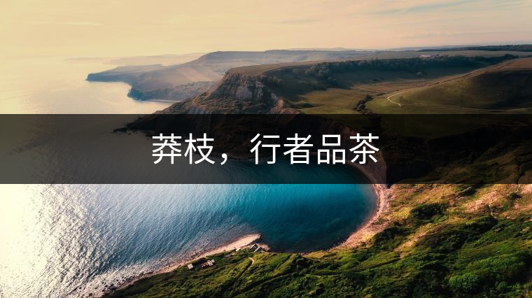 莽枝，行者品茶