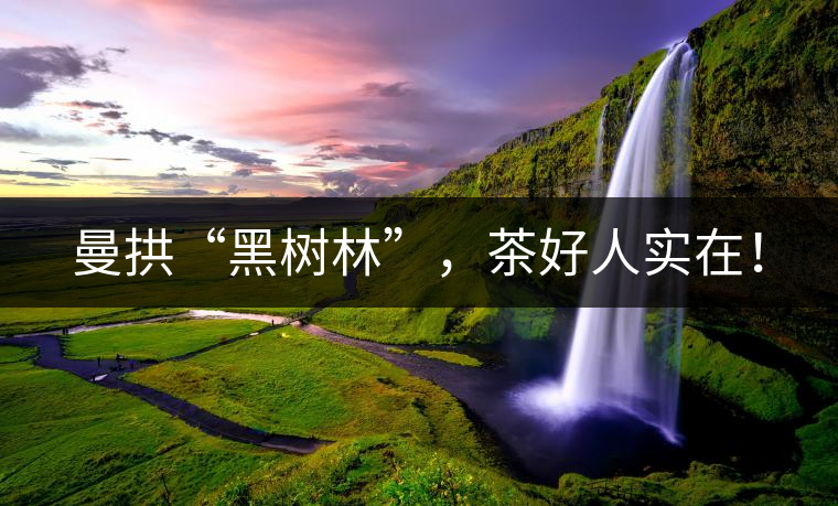 曼拱“黑樹(shù)林”，茶好人實(shí)在！