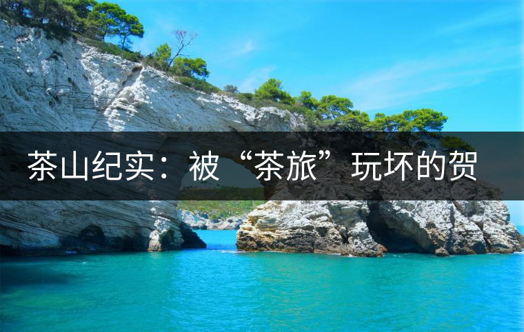 茶山紀(jì)實(shí)：被“茶旅”玩壞的賀開古茶園