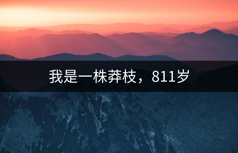 我是一株莽枝，811歲
