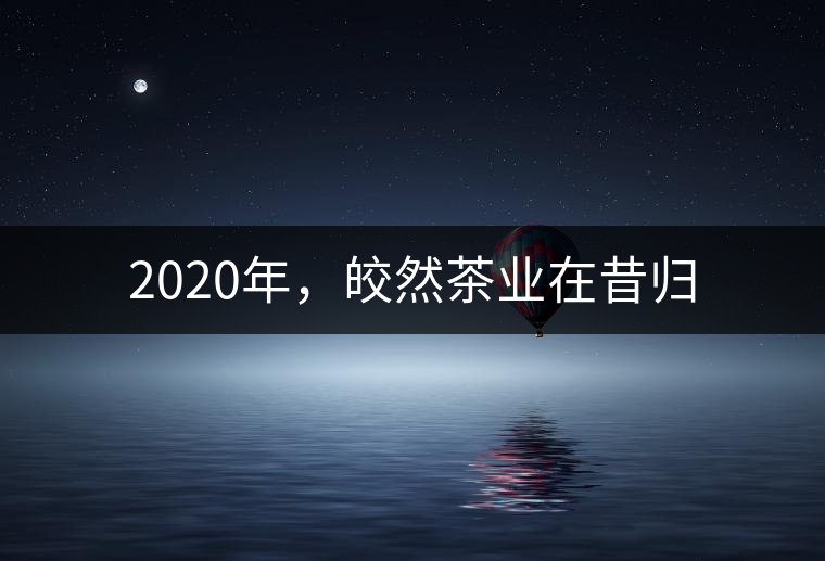 2020年，皎然茶業(yè)在昔歸