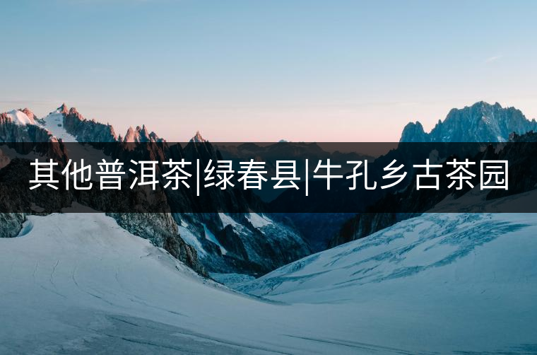 其他普洱茶|綠春縣|?？奏l(xiāng)古茶園