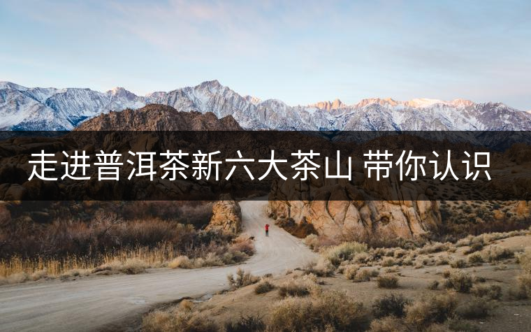 走進普洱茶新六大茶山 帶你認(rèn)識景邁山 走進普洱茶新六大茶山 帶你認(rèn)識景邁山