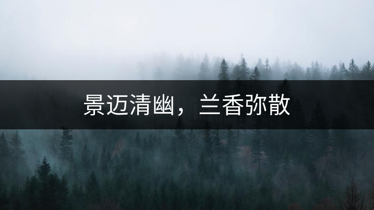 景邁清幽，蘭香彌散