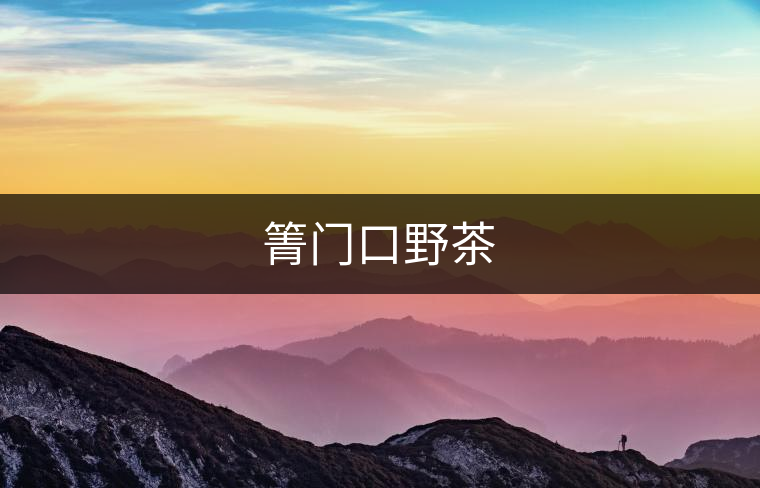 箐門口野茶